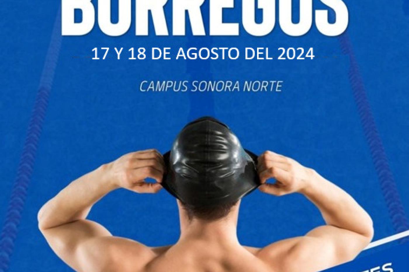 COPA NATACION CURSO CORTO 2024