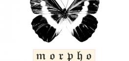 Morpho