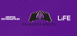 Paliacates Violeta CCM